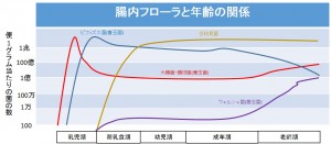 腸内フローラと年齢